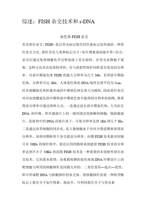 染色体FISH杂交