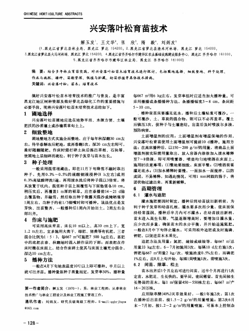 兴安落叶松育苗技术