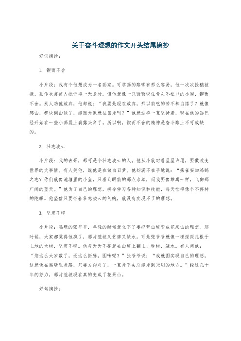 关于奋斗理想的作文开头结尾摘抄
