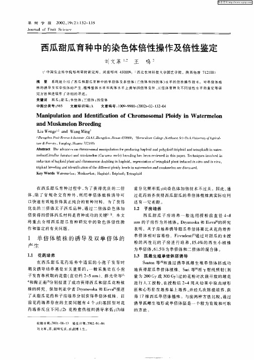 西瓜甜瓜育种中的染色体倍性操作及倍性鉴定