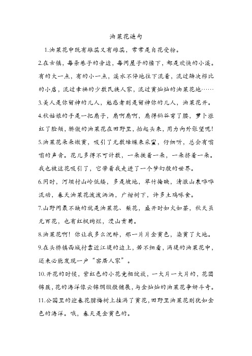 油菜花造句 .doc