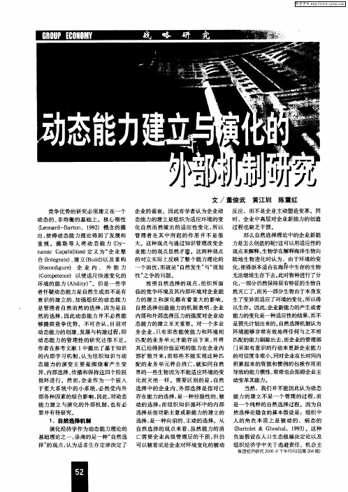动态能力建立与演化的外部机制研究