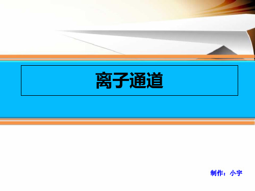 离子通道和心电图ppt课件