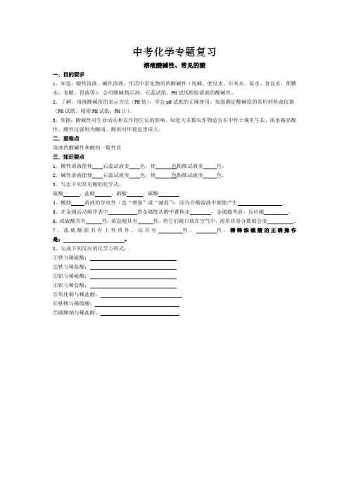 中考化学专题复习-溶液酸碱性、常见的酸