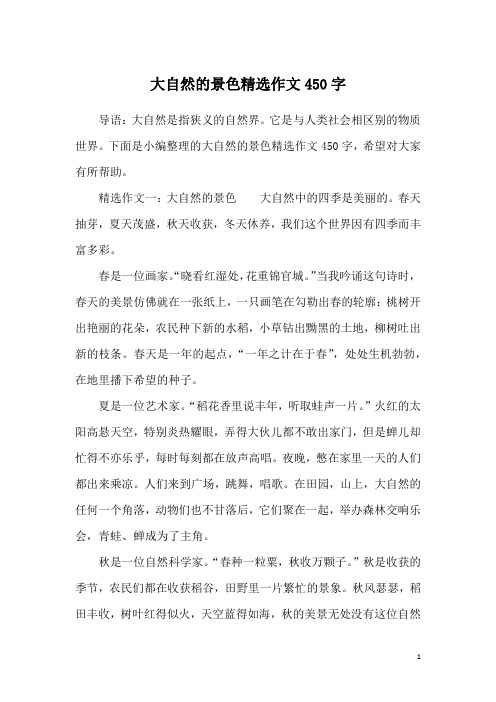 大自然的景色精选作文450字