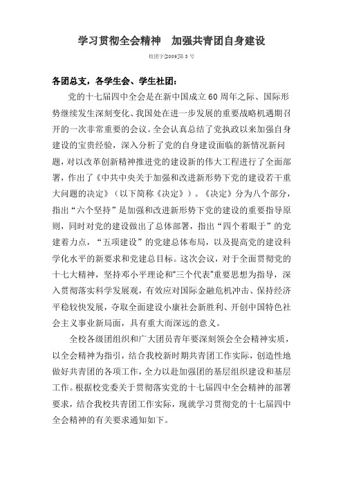 学习贯彻全会精神加强共青团自身建设