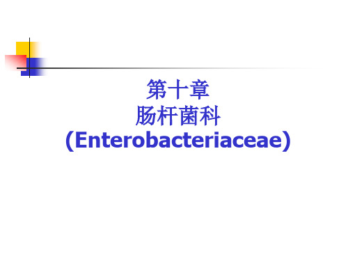 第10章 1 肠杆菌科及大肠埃希菌
