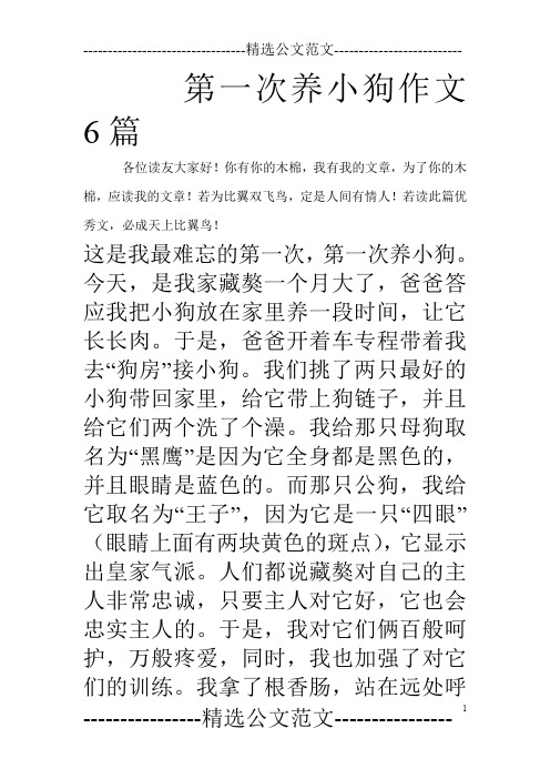 第一次养小狗作文6篇_0