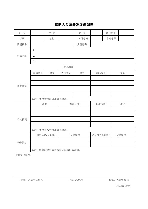 梯队人员培养发展规划表