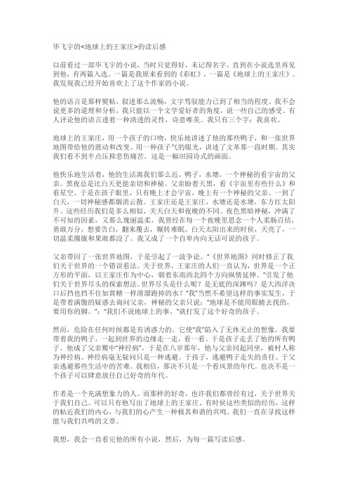 地球上的王家庄