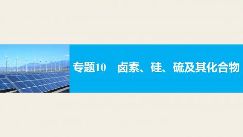 【新步步高】2017届高考化学二轮复习(浙江专用课件)专题复习：专题10卤素、硅、硫及其化合物
