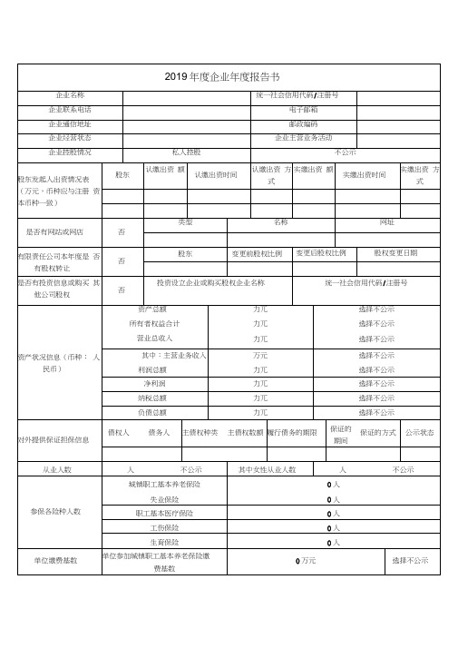 2019企业年度报告书