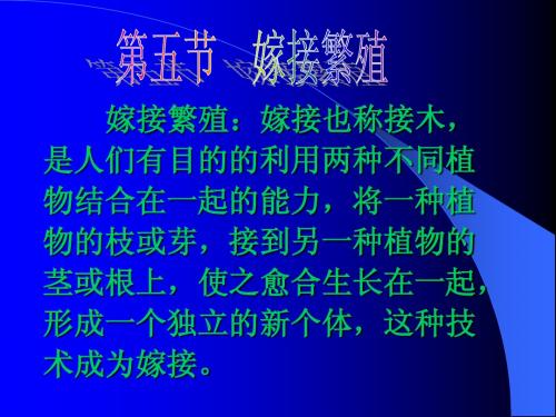 第五章 营养繁殖苗的培育第五节 嫁接繁殖