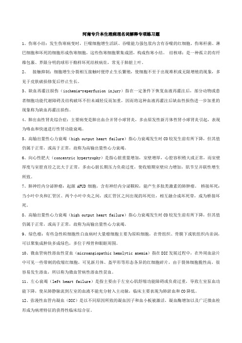 河南专升本生理病理名词解释专项练习题