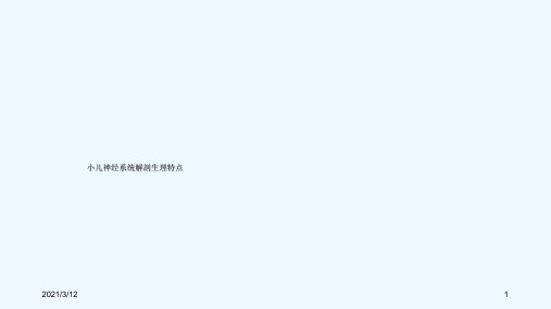 小儿神经系统解剖生理特点