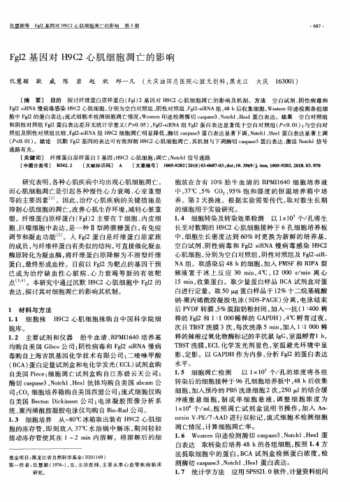 Fgl2基因对H9C2心肌细胞凋亡的影响