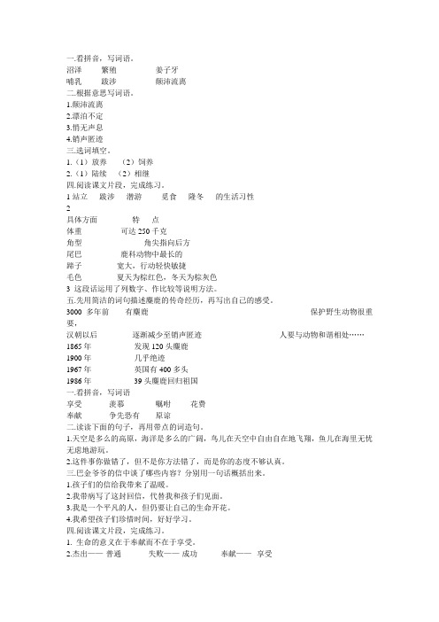 补充习题参考答案.doc