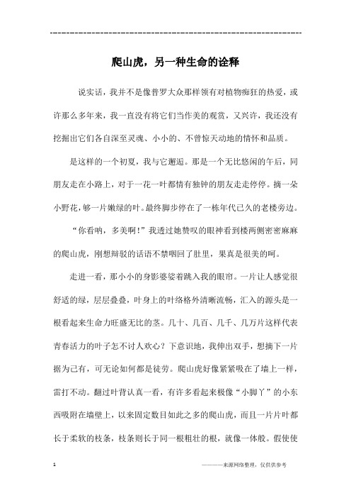 爬山虎,另一种生命的诠释_初一作文