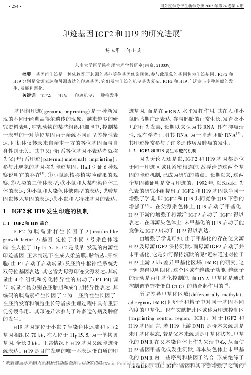 印迹基因IGF2和H19的研究进展_杨玉华