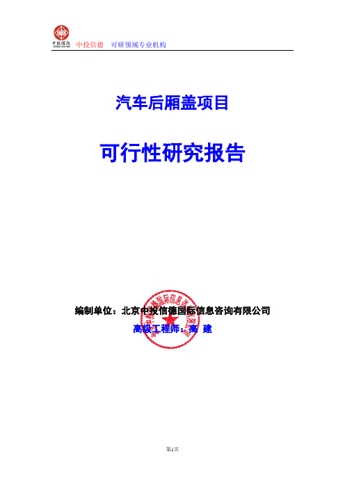 汽车后厢盖项目可行性研究报告编写格式及参考(模板word)