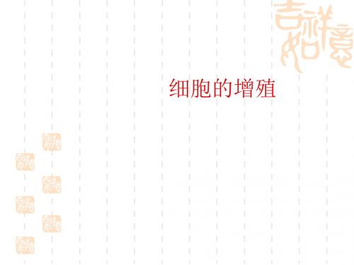 高中生物课件 细胞的增殖