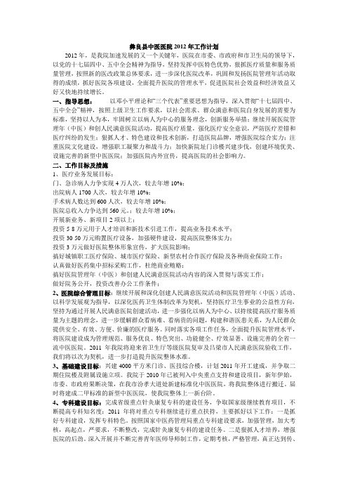 彝良县中医医院2012年工作计划