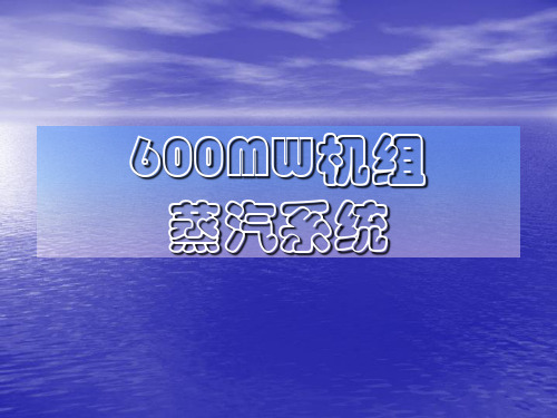 600MW机组蒸汽系统解析