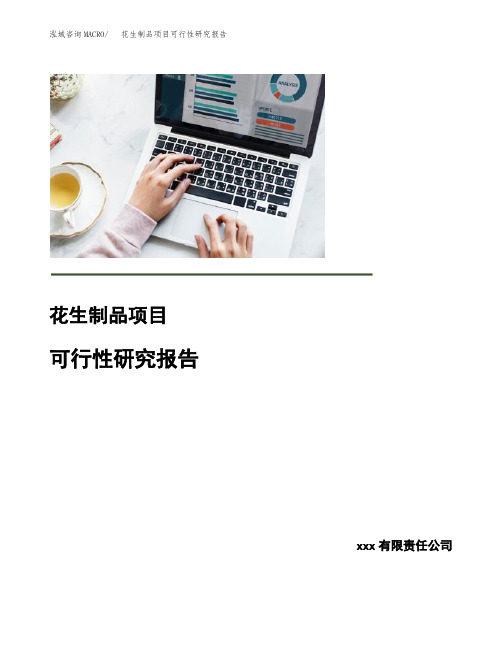 花生制品项目可行性研究报告