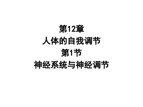 第12章 第1节 第1课时 神经系统与神经调节