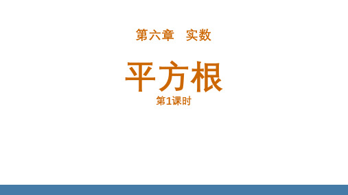 人教版七年级数学下册《平方根》实数PPT优质课件