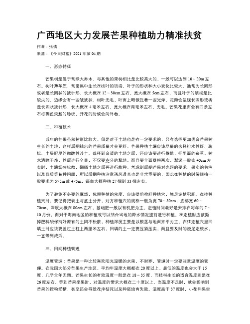 广西地区大力发展芒果种植助力精准扶贫