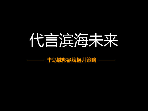 深圳半岛城邦品牌提升策略-86PPT