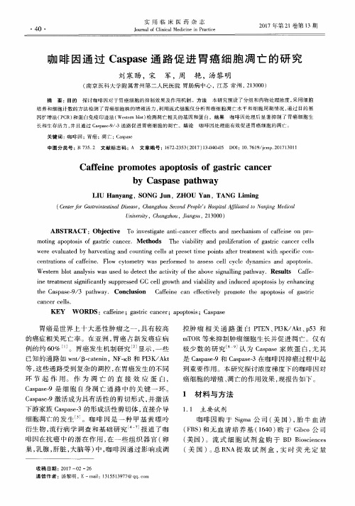 咖啡因通过Caspase通路促进胃癌细胞凋亡的研究