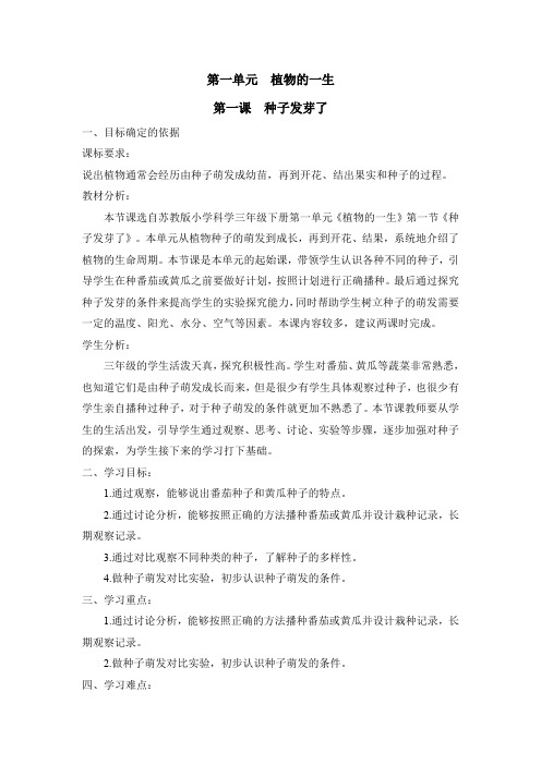 《种子发芽了》精品教案