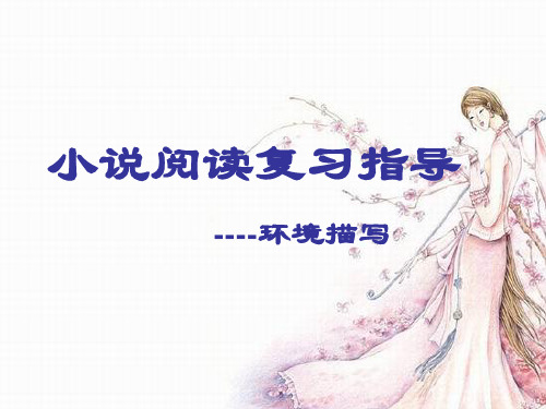 小说复习环境描写