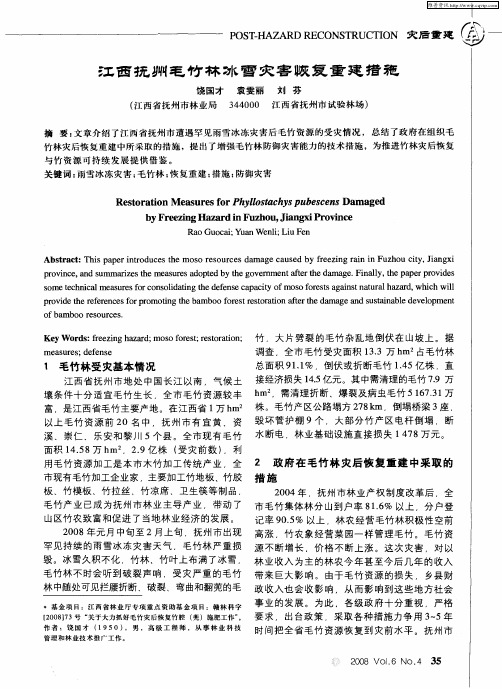 江西抚州毛竹林冰雪灾害恢复重建措施