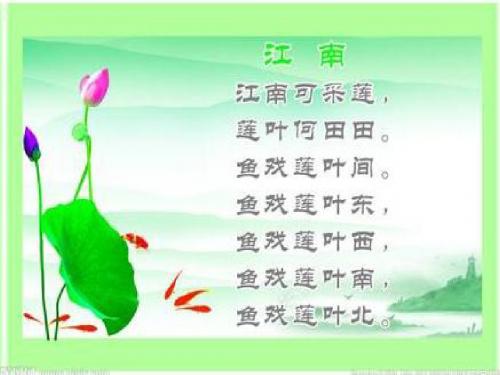 《莲叶青青》PPT