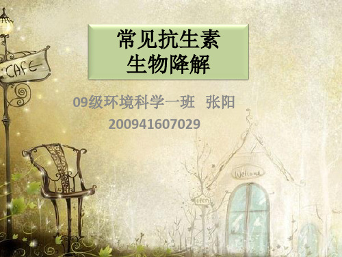 常见抗生素生物降解