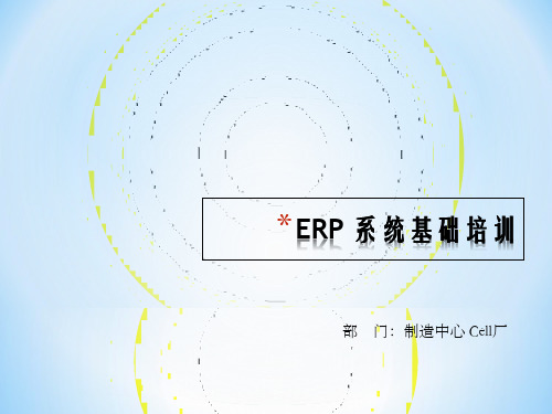 [精品]ERP系统培训学习资料