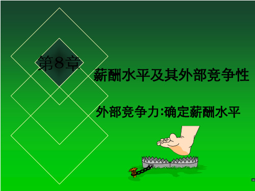 第8章外部竞争性