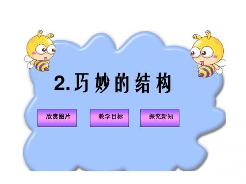 冀教版科学六下第课《巧妙的结构》课件
