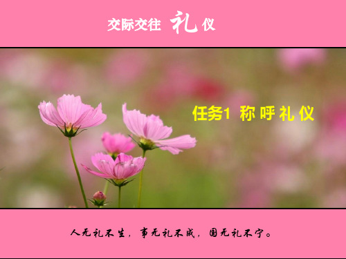 社交礼仪-称呼礼仪.