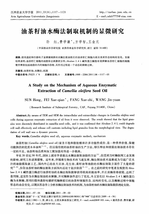 油茶籽油水酶法制取机制的显微研究