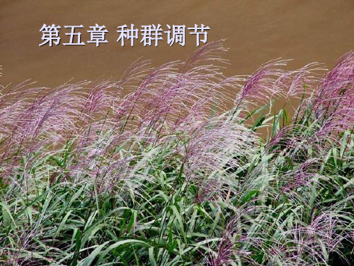 第5章种群调节
