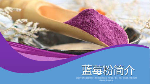 蓝莓粉科普PPT