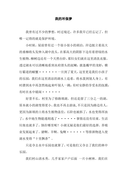 我的环保梦