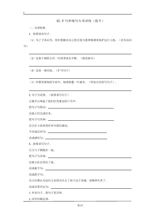 小升初语文知识专项02：扩句和缩句(提升训练)