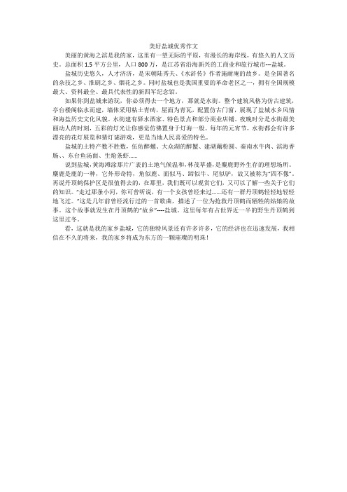 美好盐城优秀作文