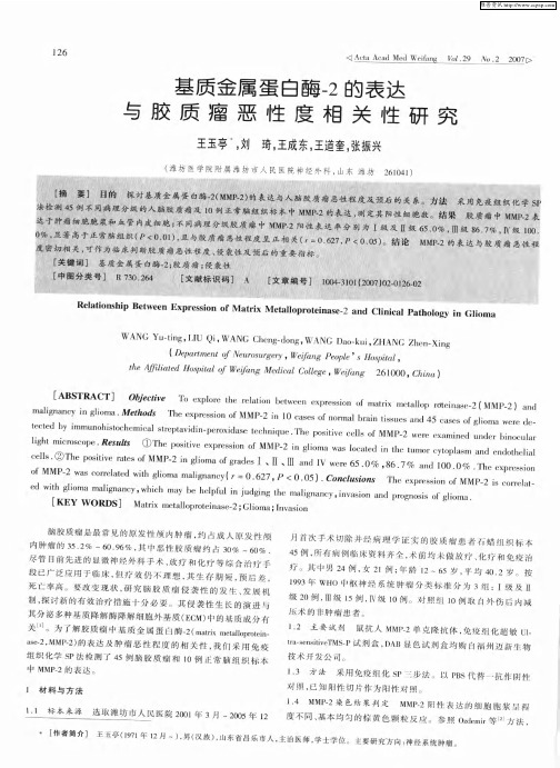 基质金属蛋白酶-2的表达与胶质瘤恶性度相关性研究