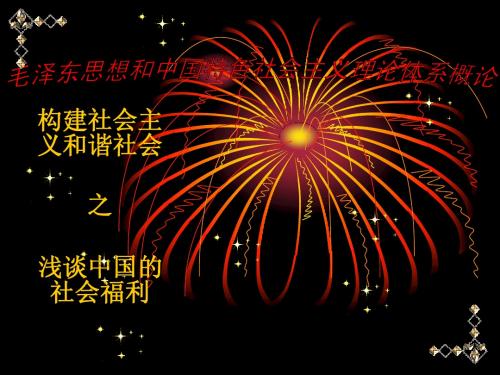 毛概
